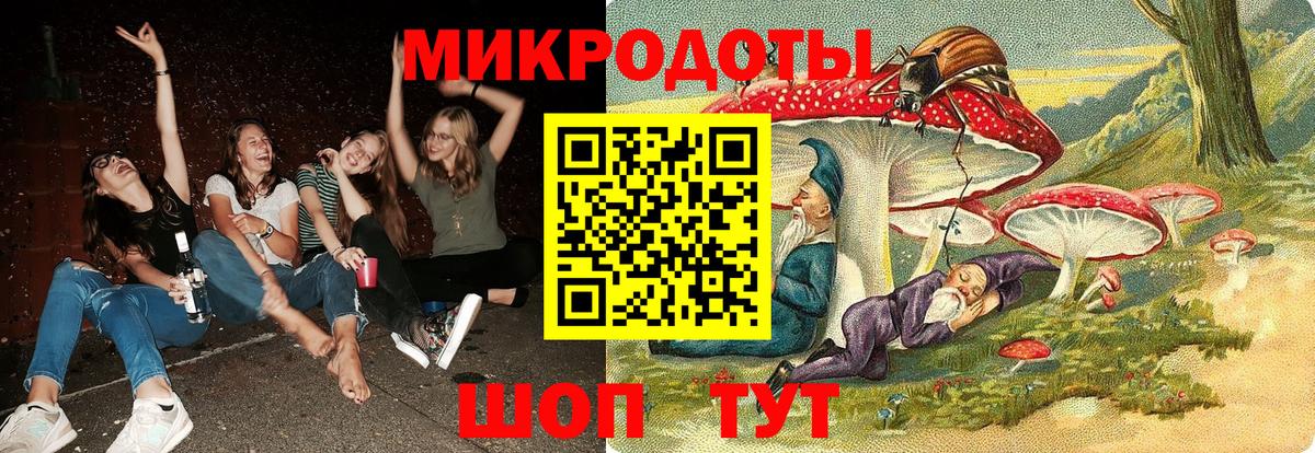 Псилоцибиновые грибы Psilocybe Углич