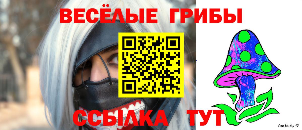 Углич  Псилоцибиновые грибы MAGIC MUSHROOMS  Псилоцибиновые грибы мухоморы  Вход с VPN 