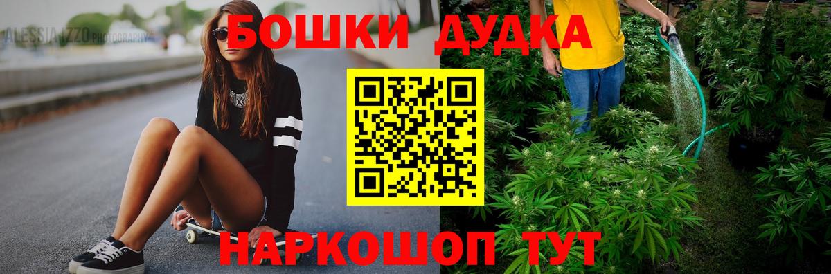 Марихуана сатива  Марихуана план  Углич  Вход с VPN 